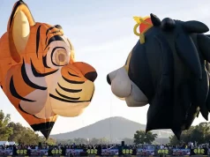 Colorful Balloons Dazzle the Skies Above Australia’s Capital City