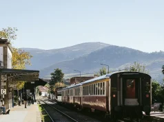 Octant Hotels Launches Latitude: An Immersive Journey Into Local Cultures