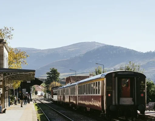 Octant Hotels Launches Latitude: An Immersive Journey Into Local Cultures