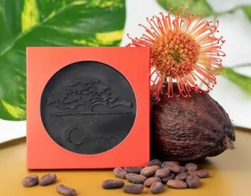 From Tree to Bar: The Chocolate That Is Martinique