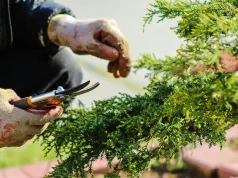 How To Take Care Of Your Garden While You’re Away From Home