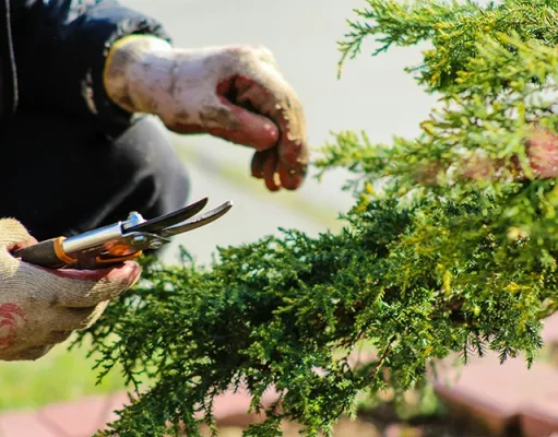 How To Take Care Of Your Garden While You’re Away From Home