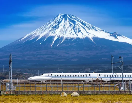 A Guide For Getting To (and Through) Japan