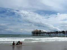 Waves, Wildlife, and Weekends: Crafting the Ideal Florida Escape