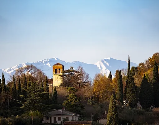 How to Experience Verona Like a Local: Culture, Cuisine, and Hidden Gems