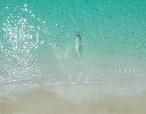 Nobu Hospitality’s Transformative Approach to Real Estate