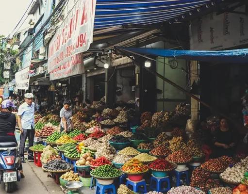 Vietnam’s Vibrant Street Food Scene: Ultimate Guide
