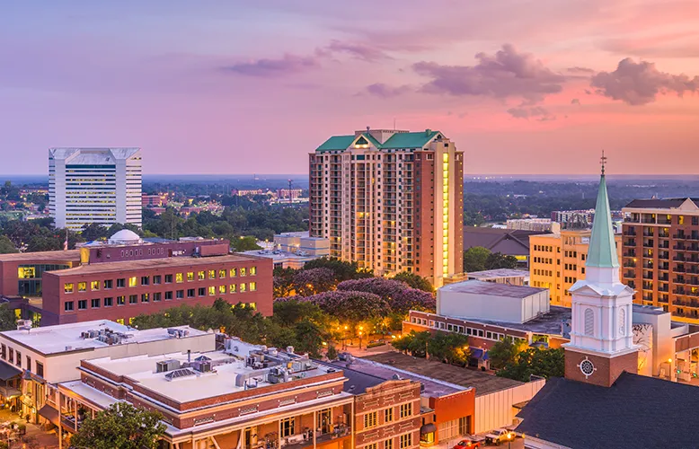 tallahassee-florida-usa-skyline-2025-03-24-00-54-48-utc copy