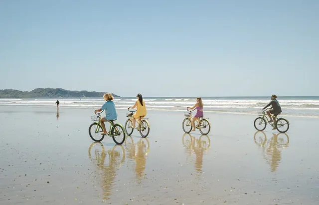 Beaches copy