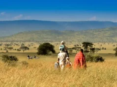 Tanzania and Uganda’s luxury safari pioneer releases 2025 ‘UNTOLD STORIES’: A Radical Redefinition of Luxury in the Wild