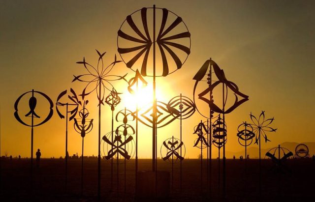 RISE-Festival-Whitaker-Studio