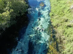 Ecotourism for All Ages: Mato Grosso do Sul Offers Activities for the Whole Family