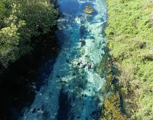 Ecotourism for All Ages: Mato Grosso do Sul Offers Activities for the Whole Family