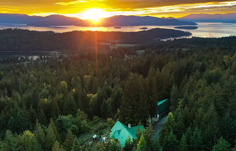 beautiful-view-of-the-green-forest-and-sunset-abov-2025-02-09-20-12-42-utc copy