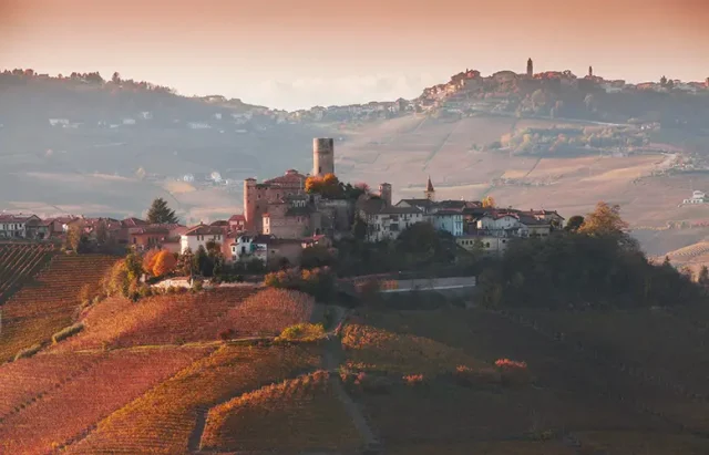 elevated-view-of-vineyards-and-hill-town-langhe-2025-04-04-17-29-51-utc copy