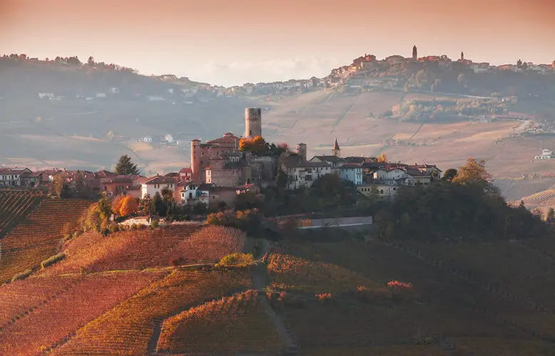 elevated-view-of-vineyards-and-hill-town-langhe-2025-04-04-17-29-51-utc copy