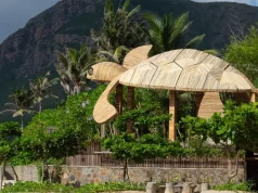 Six Senses Con Dao Commits to Turtle Conservation for World Turtle Day 2025