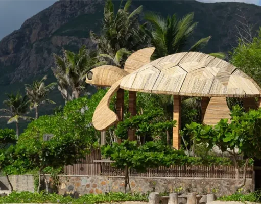 Six Senses Con Dao Commits to Turtle Conservation for World Turtle Day 2025