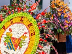 Top Floral Festivals That Will Inspire Travelers