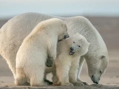 New Canada Adventures with Frontier Canada