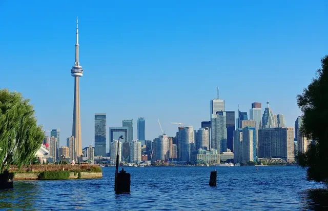 toronto-skyline-from-park copy
