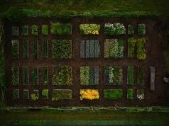 Regenerative Botanical Farm, FRØNTERRA, Opens for the 2025 Season with NEW Immersive, Slow-Wellness Experiences