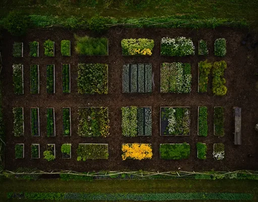 Regenerative Botanical Farm, FRØNTERRA, Opens for the 2025 Season with NEW Immersive, Slow-Wellness Experiences