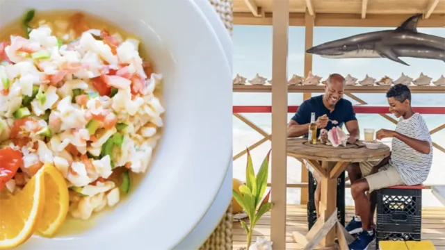 Grand Bahama Island Restaurant Festival copy