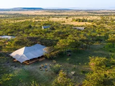 Embark on a Safari of a Lifetime at Great Plains’ Explorer-Collection Camps in Botswana and Kenya