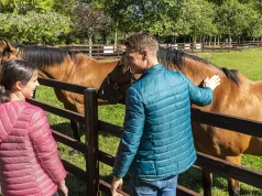 Ireland’s equine excellence showcased in new immersive Horse Country experiences