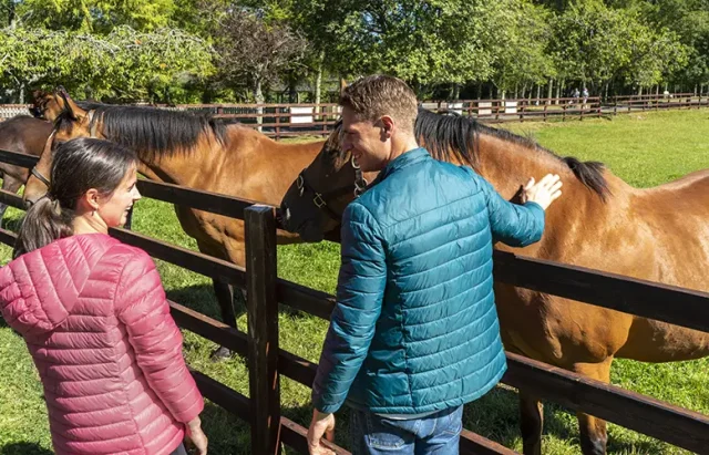 Irish National Stud, Co Kildare copy