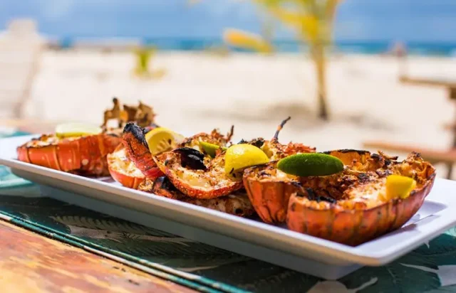 Lobster Season in Anguilla copy