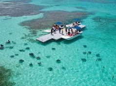 Stingrays & Seaside Feasts: A Beach Day Itinerary in Antigua and Barbuda