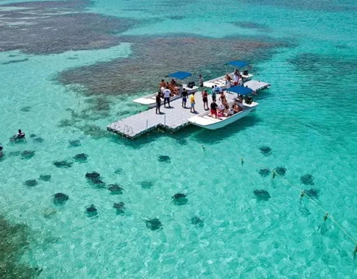 Stingrays & Seaside Feasts: A Beach Day Itinerary in Antigua and Barbuda