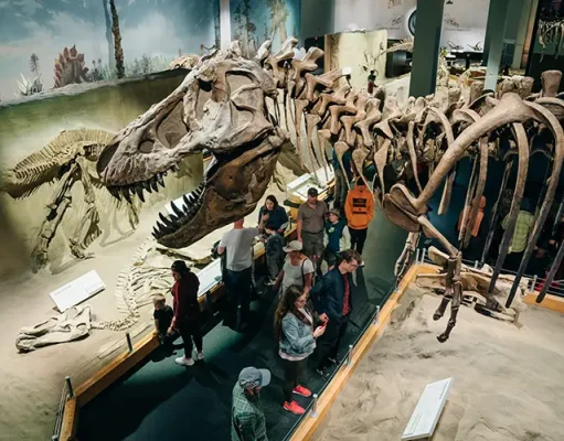 Canadian Tops The Most Highly Rated Dinosaur Museums in the World