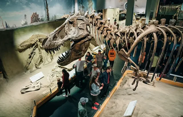 drumheller-alberta-may-2022-albertosaurus-skeleton-shown-as-running copy
