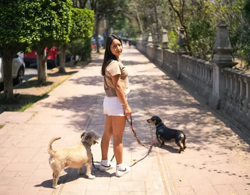 How to Plan the Perfect Pet-Friendly Vacation Without Compromise