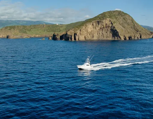 Sport Fishing in La Paz: The Ultimate Summer Adventure Awaits