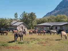 Adventure Meets Impact at Las Torres Patagonia