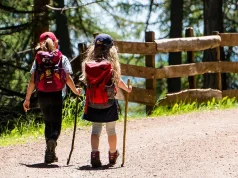 The Role of a Guide in Planning a Safe and Rewarding Climbing Expedition