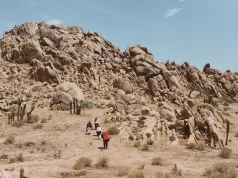 The North Face Launches New Collection: TNF™ Red Box