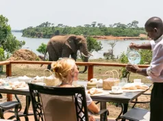Introducing WildPlaces Africa, Uganda | A collection of luxury safari camps and lodges