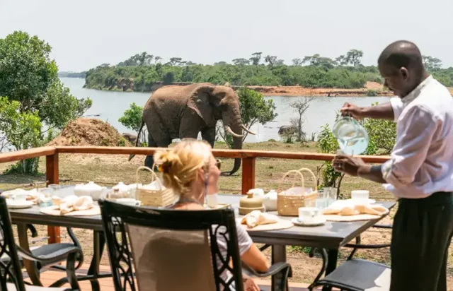 TRS-Dining-with-Elephant-2-scaled-1 copy