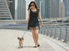 3 Things You’ll Want to Know Before Moving to Dubai with a Pet