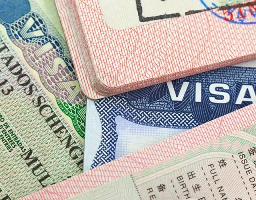 How the Partner 820 Visa Works and What It Leads To