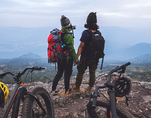Biking Through French Vineyards: A Journey of Scents, Sights, and Sips