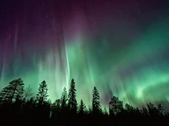 Dancing Skies and Arctic Nights: Experiencing Norway’s Winter Wonders