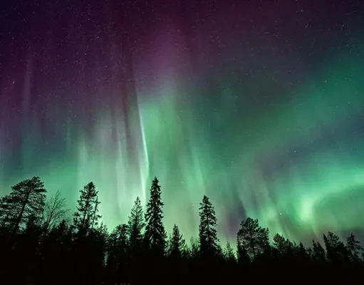 Dancing Skies and Arctic Nights: Experiencing Norway’s Winter Wonders