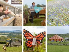 Make the Most of the Jam-Packed Summer at Cotswold Farm Park