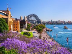 Sydney Bursts Into Springtime Colour